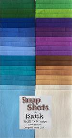 Snap Shot Summer 2.5" strips