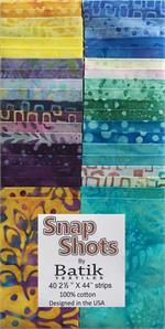 Snap Shot Sun Catchers 2.5" strips