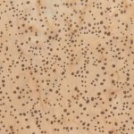 Freckles Batik 855Q 7 Tan