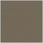 Quilter's Basics ST4510 307 Taupe