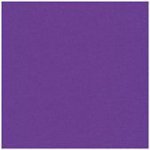 Quilter's Basics ST4510 507 Purple