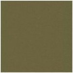 Quilter's Basics ST4510 801 Olive