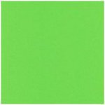 Quilter's Basics ST4510 806 Sour Apple