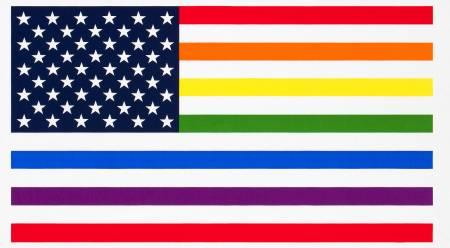 Rainbow Pride Flag Panel 19937 263