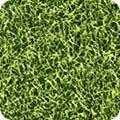 Sports Life 3 SRK 14697 47 Grass