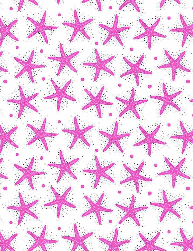 Starfishes Kidz C1079