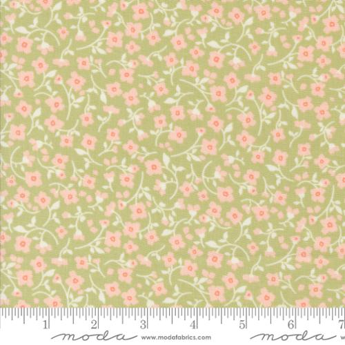 Dainty Meadow Pear 31744 20