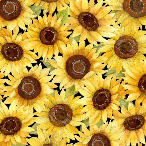 Sunflower Splendor 83326 952