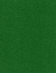 [790631] Blockbuster Basics C8400 Green