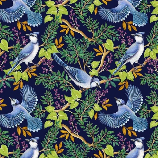 [113321] Blue Jay in Branches CD2276 Navy