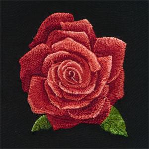 [80144CD] OESD Radiant Roses by Laurie Snow