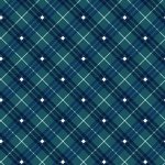 [671004] Plaid 9611 077