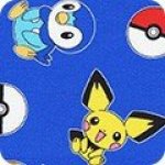 [348346] Pokemon 74312 11